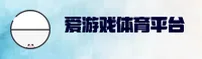爱游戏体育官方网站